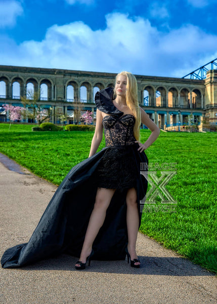 Lace 3 D style Taffeta gown